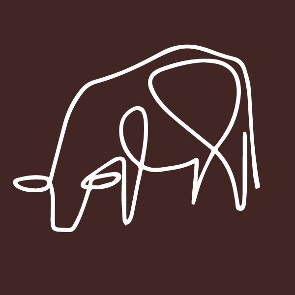 bovne collagen peptides